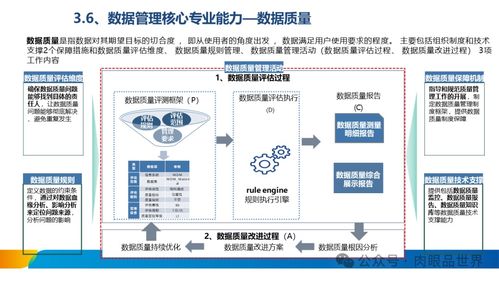 XX集團數據治理體系建設方案 數據處理服務