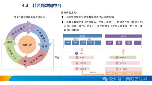 xx集團(tuán)數(shù)據(jù)治理體系建設(shè)方案 